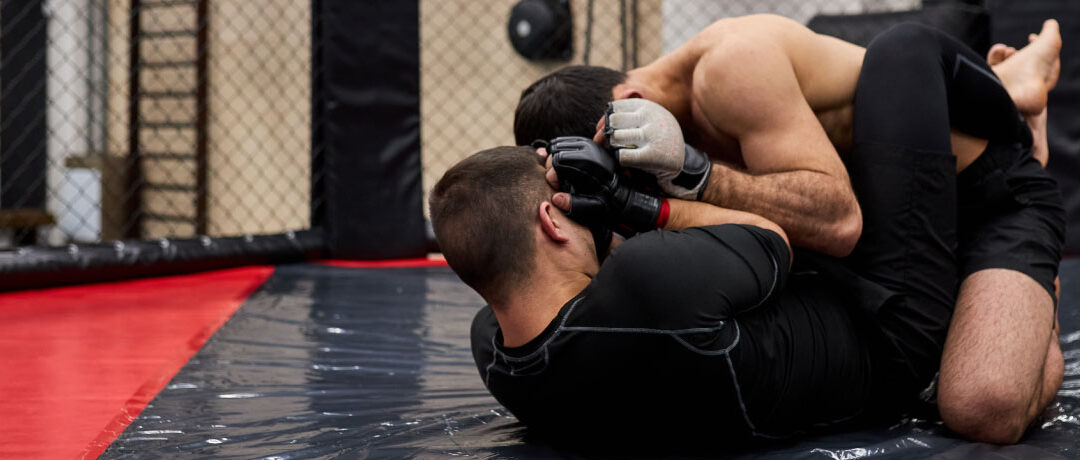 Consejos para principiantes en MMA